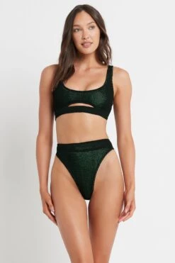 Bond-eye Savannah Brief Eco